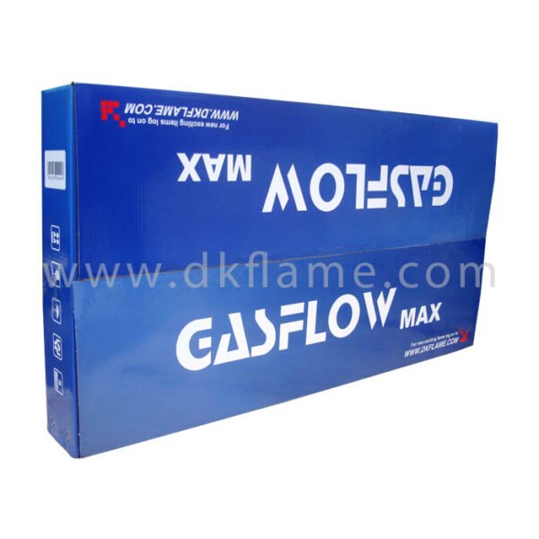 GASFLOW MAX Stainless Gas Cooker 2 Burner